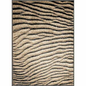 Barna szőnyeg 80x120 cm Avanti – FD kép