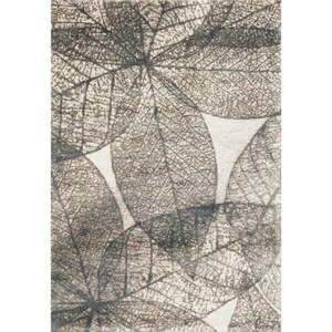 Bézs szőnyeg 160x230 cm Lush – FD kép