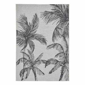 Fekete-krémszínű kültéri szőnyeg 160x220 cm Miami – Think Rugs kép