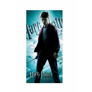 Harry Potter (CBX195010HP) kép