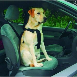 Kutya biztonsági öv autóba kép