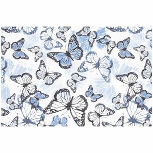 Iva Pillangók tányéralátét, 30 x 45 cm-es kép