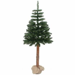 Karácsonyfa lucfenyő a tuskón 190 cm kép