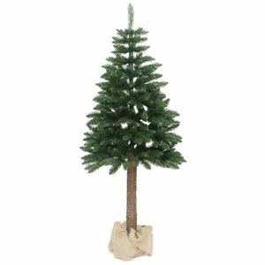 Karácsonyfa lucfenyő a tuskón 220 cm. kép