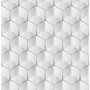 Üveg panel 60/60 Polar Hex Esg kép