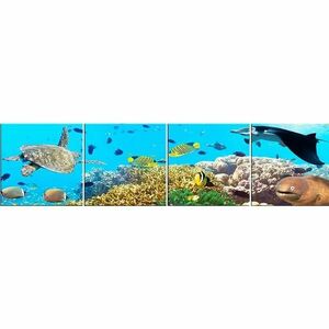Üveg panel 60/240 Aquarium-2 4-Elem kép