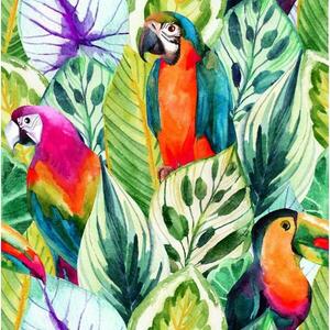 Üveg panel 60/60 Jungle Birds-1 Esg kép