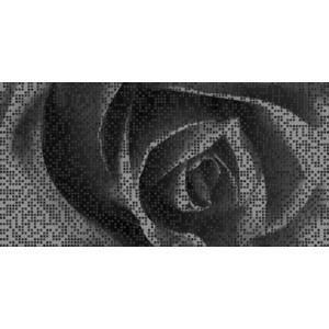 Csempe Dekor Róża Efekt. Black 30/60 Rect. kép
