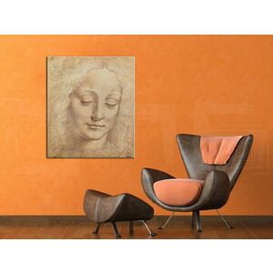 Vászonkép Női FEJ 3  Leonardo Da Vinci (reprodukció 70x60 cm) kép