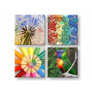 Vászonkép Colorful vibes (modern vászonképek) kép
