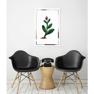 Tükor falikép Kaktus Mirrora 65 - 60x40 cm (Képek Mirrora) kép