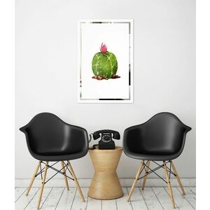 Tükor falikép Kaktus Mirrora 67 - 60x40 cm (Képek Mirrora) kép