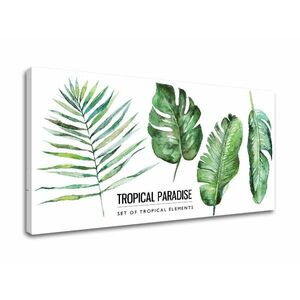 Vászonkép szöveggel Tropical paradise (modern vászonképek) kép