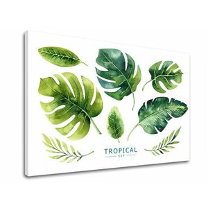 Vászonkép szöveggel Tropical set (modern vászonképek szöveggel) kép