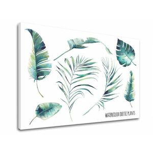 Vászonkép szöveggel Watercolor exotic plants (modern) kép