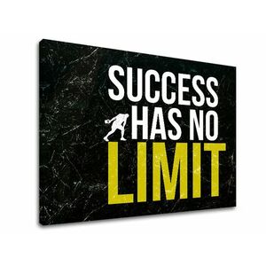 Motivációs vászonképek a sikerről_009 (vászonkép szöveggel) kép