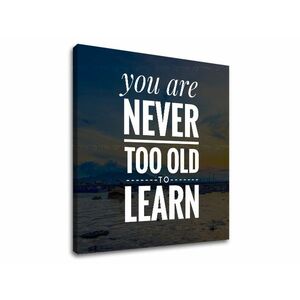 Motivációs vászonképek You are never too old (vászonkép) kép