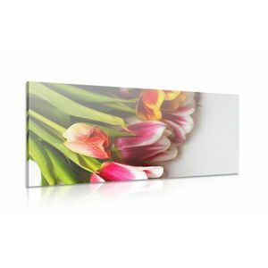 Kép tulipán csokor kép