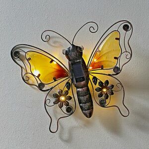 Szolár pillangó kép