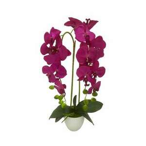 orchidea művirág kép