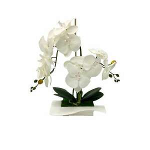 Orchidea Műnövény kép