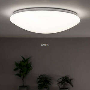 Távirányítós mennyezeti LED lámpa, 48 cm (Stella) kép