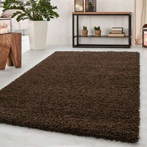 Ay dream 4000 barna 160x230cm egyszínű shaggy szőnyeg kép