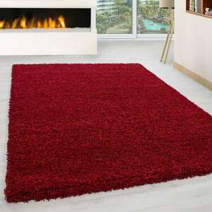 Ay life 1500 piros 160x230cm egyszínű shaggy szőnyeg kép