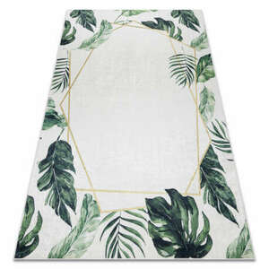 ANDRE 1168 mosható szőnyeg Levelek, geometriai csúszásgátló - fehér / zöld 160x220 cm kép
