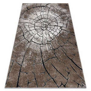 Modern COZY szőnyeg 8875 Wood, fatörzs - barna 160x220 cm kép