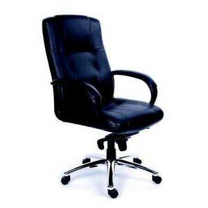 MAYAH "Enterprise" főnöki szék (BBSZVV22 / 10075-01S BLACK) kép