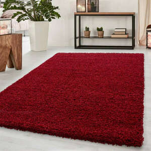 DREAM szőnyeg 200X290, piros színben kép