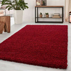 DREAM szőnyeg 160X230, piros színben kép