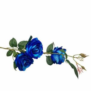 Több virágú bársonyos kék rózsa kép
