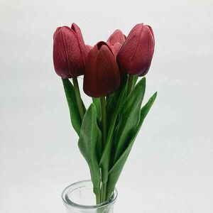 Bordó tulipán kép