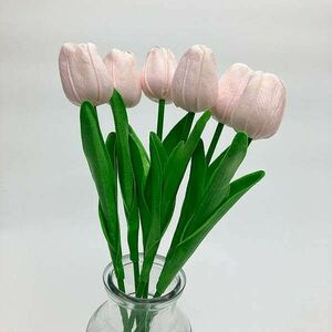 Világos rózsaszín tulipán kép