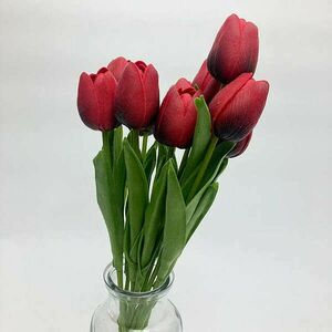 Alul fekete piros tulipán kép