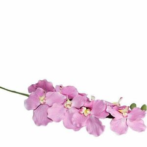 Nagyfejű rózsaszín orchidea 96 cm - 3db kép