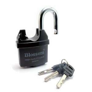 Blossom Professzionális Zár, 60 mm + 3 kulcs ujjlenyomatokkal kép