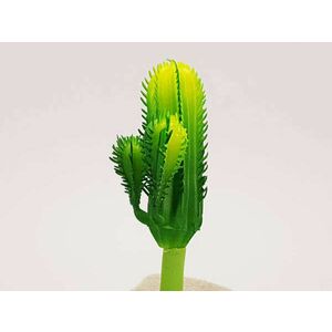 Kaktusz 12cm 6db OKOSÁR kép