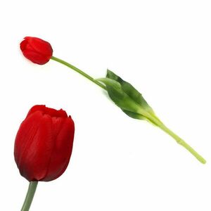 Szálas gumi tulipán piros kép