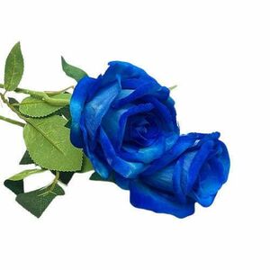 Szép bársony tapintású kék rózsa kép
