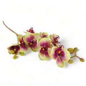 Mű lepke orchidea szál gumibevonatos közepes 68 cm - zöld kép