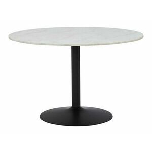 Asztal Concept 55 179, Fehér márvány, Fekete, 75cm, Márvány, Fém kép