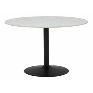 Asztal Flint 111, Fehér márvány, Fekete, 75cm, Márvány, Fém kép
