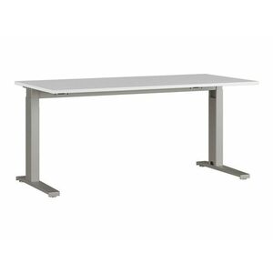Állítható magasságú íróasztal Sacramento AL108, Állítható magasság, 67.2x160x80cm, Világosszürke, Ezüst kép