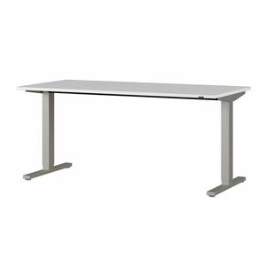 Állítható magasságú íróasztal Sacramento AL109, Állítható magasság, Elektromos, 73x160x80cm, Világosszürke, Szürke kép