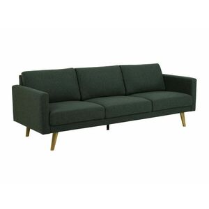 Háromszemélyes kanapé Oakland 578, Zöld, 78x221x85cm, Lábak: Fa, Kaucsuk kép
