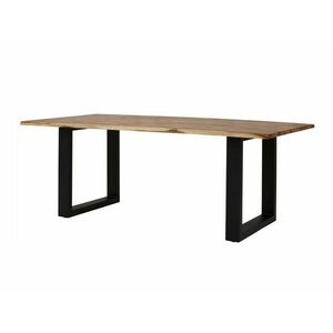 Asztal Denton 308, Fekete, Akác, 76x100x200cm, Munkalap anyaga, Fém kép