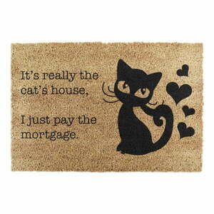 Kókuszrost lábtörlő 40x60 cm It's Really the Cats House – Artsy Doormats kép